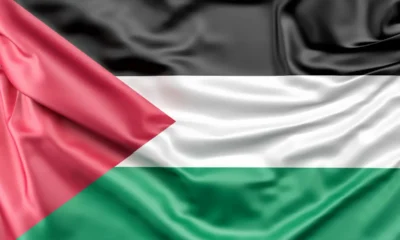 la bandiera della palestina