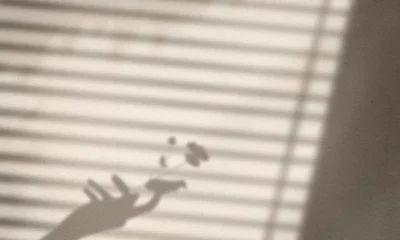 ombra di una mano con un fiore in mano su muro bianco