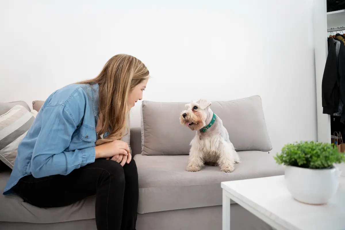 ragazza seduta guarda il suo cane sul divano