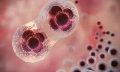 cellule tumorali mentre si duplicano