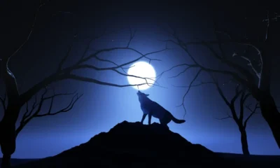 lupo ulula nella notte sotto la luna piena