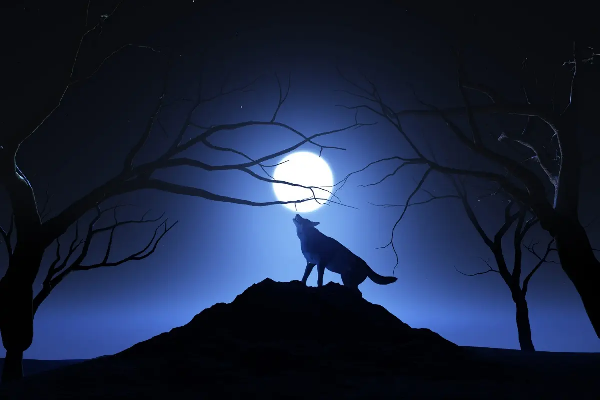 lupo ulula nella notte sotto la luna piena