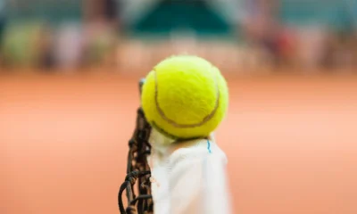 pallina da tennis poggiata sulla rete