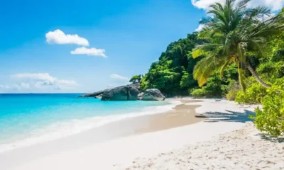 una spiaggia dei caraibi con palme