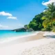una spiaggia dei caraibi con palme