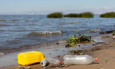 una spiaggia piena di sporcizia plastica