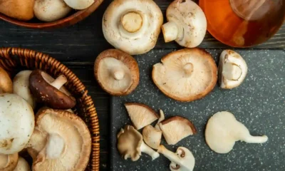 vari funghi crudi in ceste da mangiare