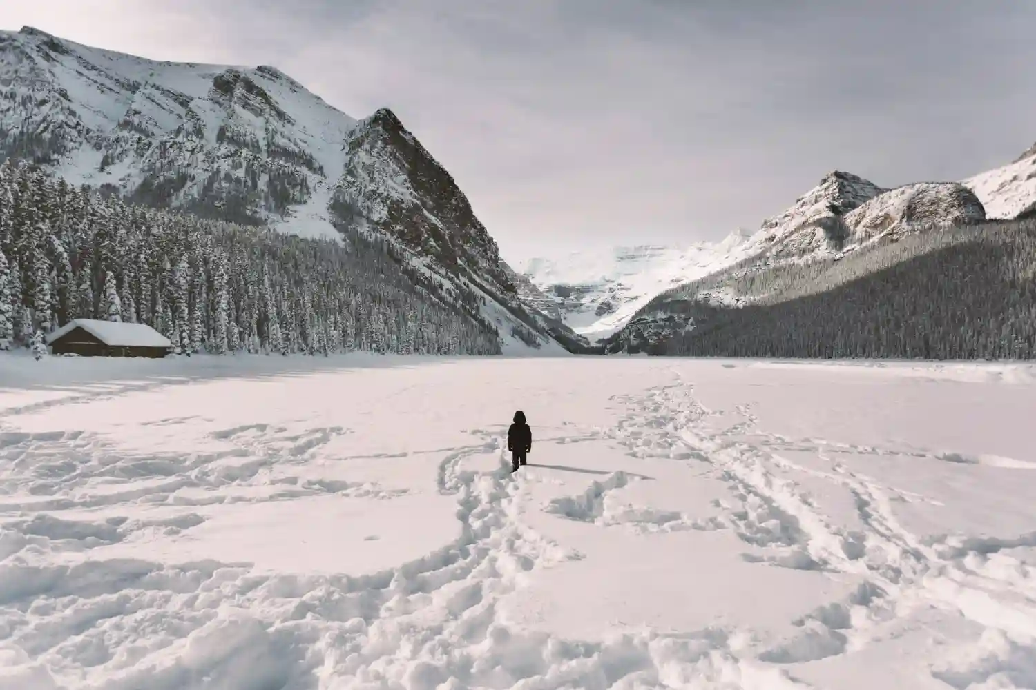 foto di un ricercatore in alaska
