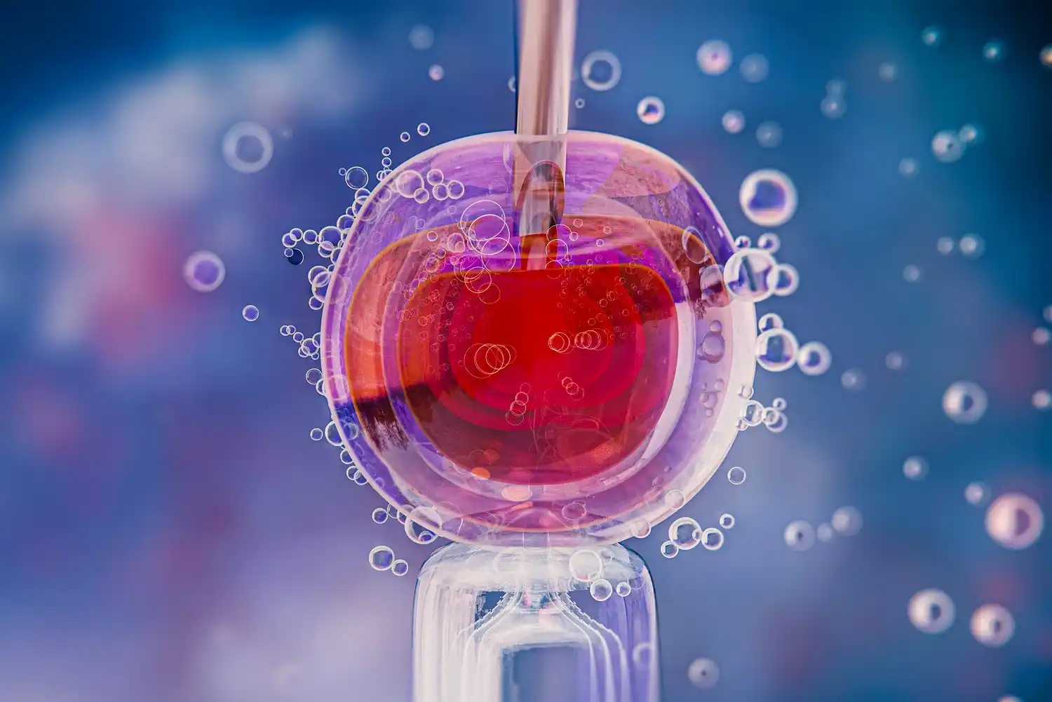 immagine esempio dell'estrazione del dna fetale