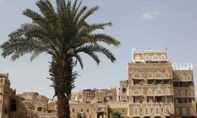 palme nella capitale sanaa dello yemen