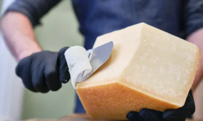 uomo taglia una forma di parmigiano