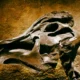 Fósil de dinosaurio para ilustrar "quando si sono estinti i dinosauri" y la reconstrucción de su extinción hace 66 millones de años.