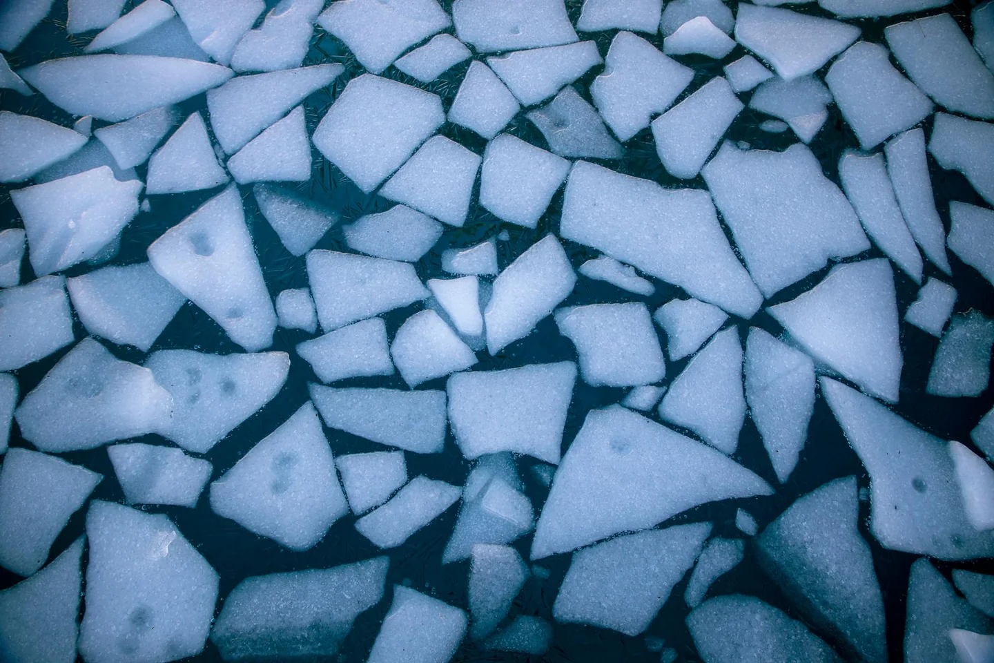 Imagen sobre perche il ghiaccio galleggia sull acqua con un cubito de hielo flotando en la superficie del agua