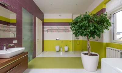 Una pianta bagno umidità colocada en un baño luminoso junto al lavabo