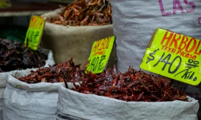 Imagen de un mercado callejero en México para ilustrar el artículo sobre che lingua si parla in messico