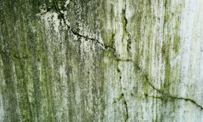 Imagen de una pared interior con manchas de humedad y moho, ideal para ilustrar come eliminare la muffa dai muri