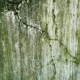 Imagen de una pared interior con manchas de humedad y moho, ideal para ilustrar come eliminare la muffa dai muri