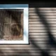 Ventana con mosquitera para ilustrar come proteggere casa dalle zanzare en una casa protegida de forma práctica.