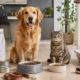 pet food in Italia vale miliardi