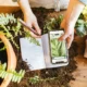 Persona usando una app riconoscere piante en el móvil para identificar una hoja en el exterior