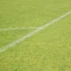Fotografía de las líneas y marcas de un campo de fútbol para ilustrar quanto è lungo un campo da calcio