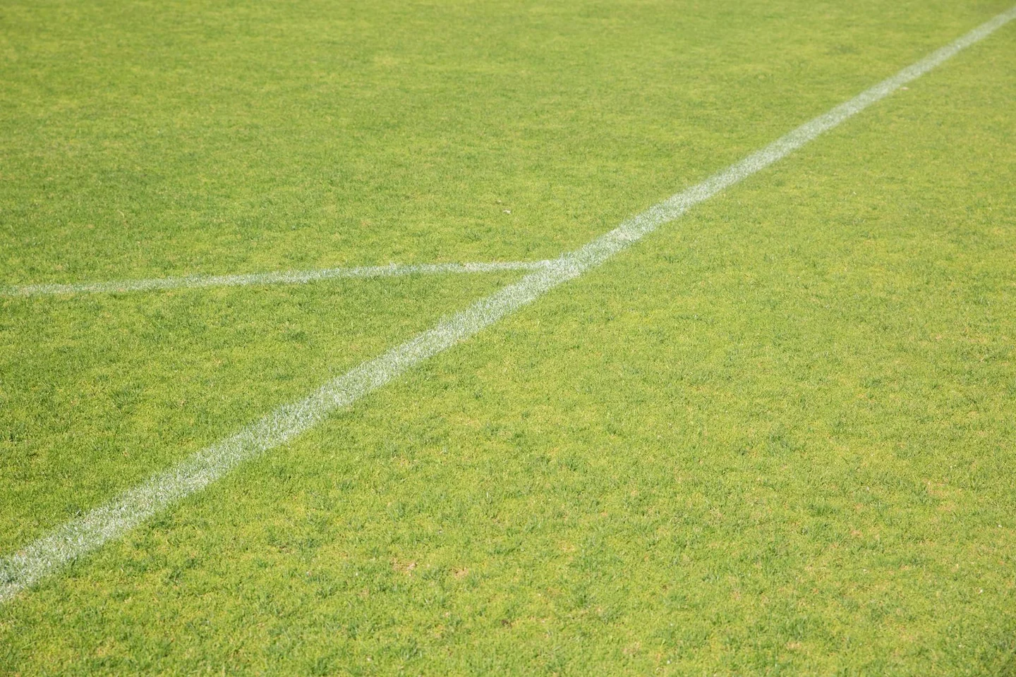 Fotografía de las líneas y marcas de un campo de fútbol para ilustrar quanto è lungo un campo da calcio