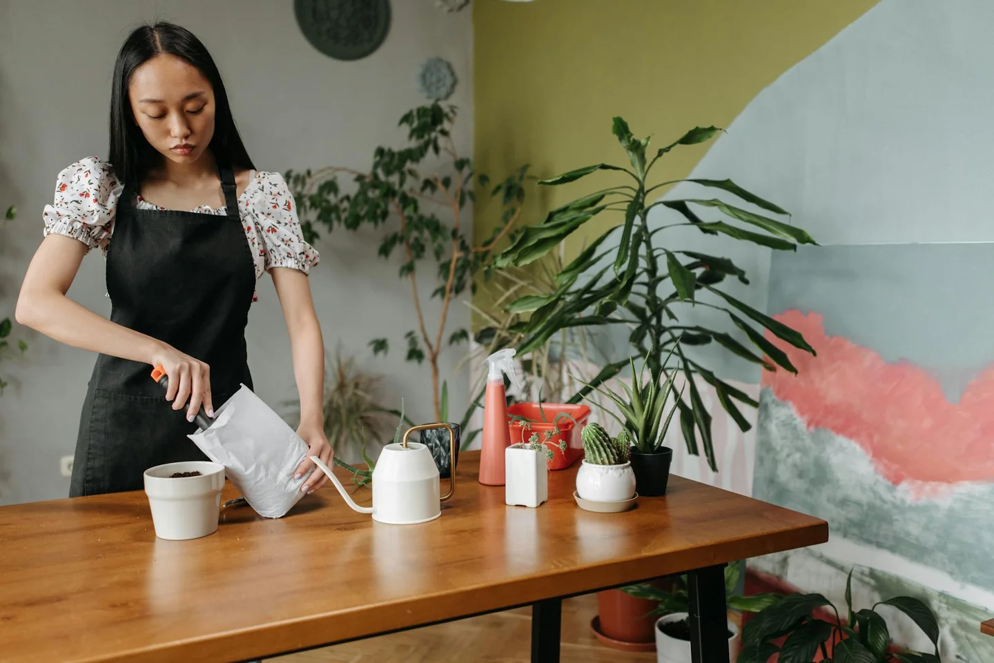 Persona regando plantas en maceta con acqua condizionatore piante reutilizada en casa