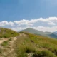 Imagen de un sendero alpino para ilustrar dove andare in montagna d’estate en un artículo sobre destinos, rutas y consejos prácticos.