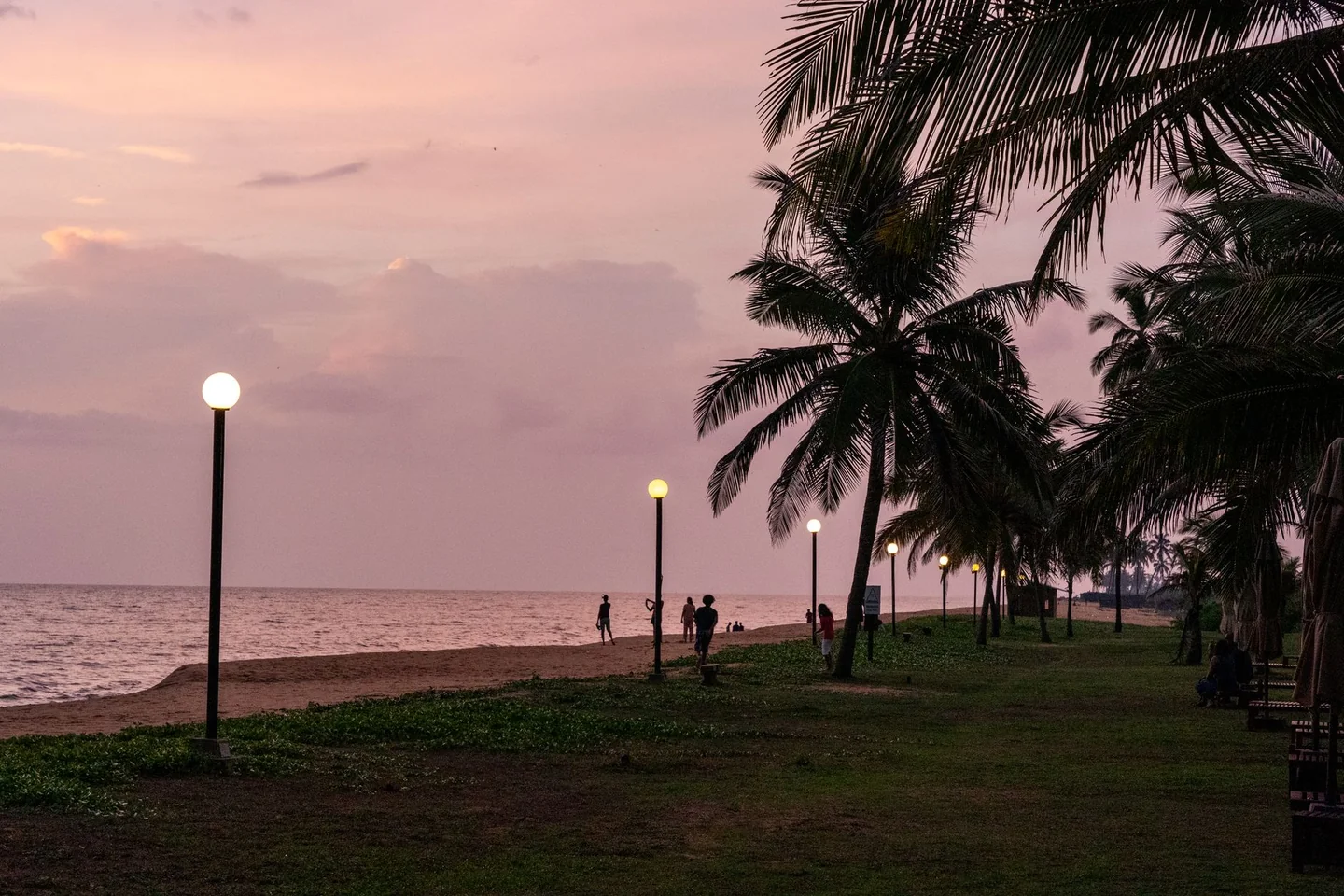 Atardecer en el paseo marítimo de marina di bibbona cosa fare la sera con gente caminando junto al mar y la pineta
