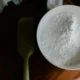 fecola di patate a cosa serve en la cocina, mostrando un cuenco con almidón o polvo blanco para entender sus usos