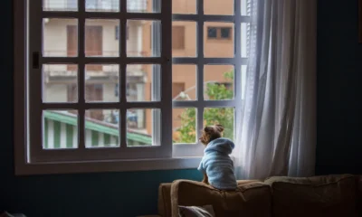 Imagen para ilustrar quando lasciare il cane da solo in casa con un perro solo dentro de casa junto a una puerta o ventana