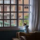 Imagen para ilustrar quando lasciare il cane da solo in casa con un perro solo dentro de casa junto a una puerta o ventana