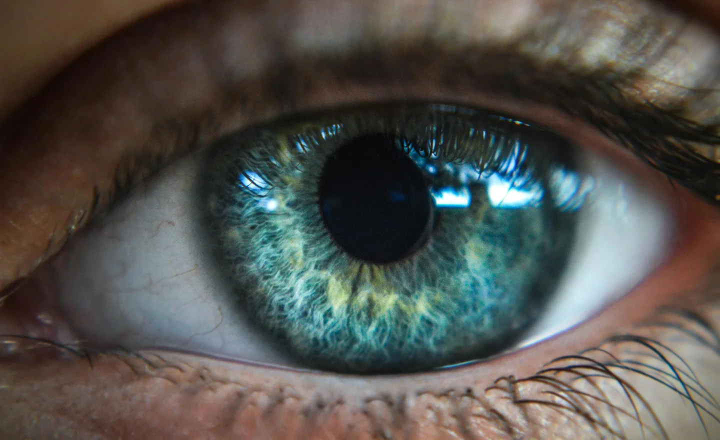 Primer plano de un examen ocular para ilustrar come si chiama la parte bianca dell occhio en un contexto de salud visual.