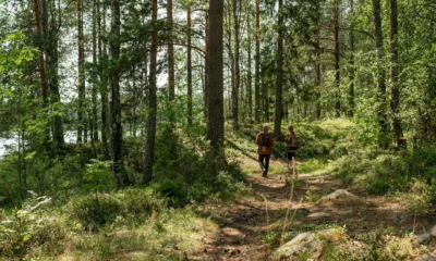 Familia en un sendero de naturaleza para inspirarse con ideas de non so cosa fare treviso e dintorni