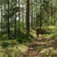 Familia en un sendero de naturaleza para inspirarse con ideas de non so cosa fare treviso e dintorni