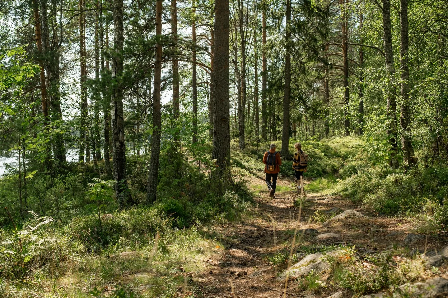 Familia en un sendero de naturaleza para inspirarse con ideas de non so cosa fare treviso e dintorni