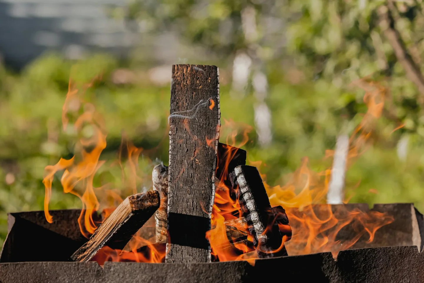 Imagen de jardinería con ceniza de madera para ilustrar cosa non concimare con la cenere en el huerto