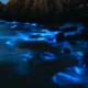 dove vedere la bioluminescenza in Italia: olas azules brillando de noche en el mar