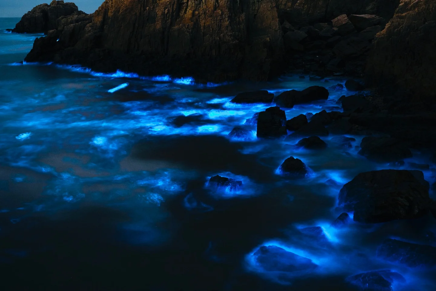 dove vedere la bioluminescenza in Italia: olas azules brillando de noche en el mar