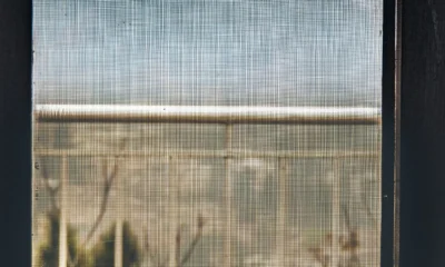 Ventana con mosquitera para ilustrar come eliminare le zanzare da casa