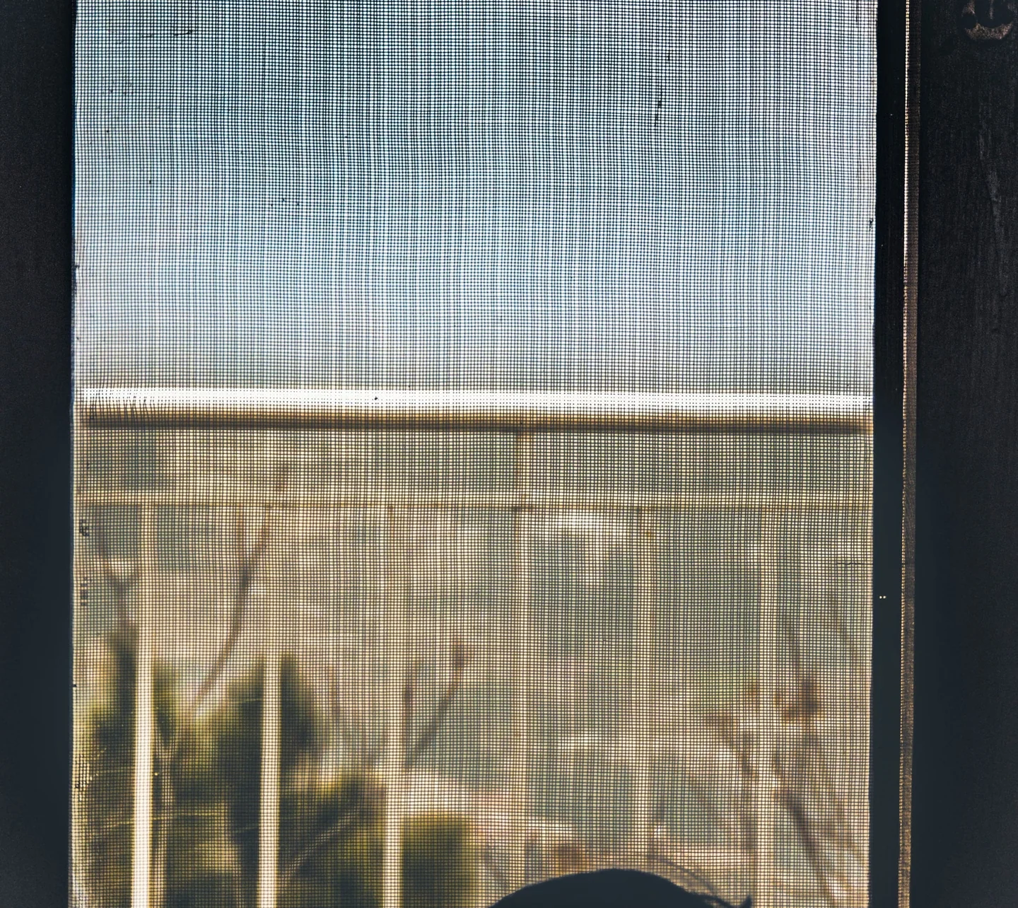 Ventana con mosquitera para ilustrar come eliminare le zanzare da casa
