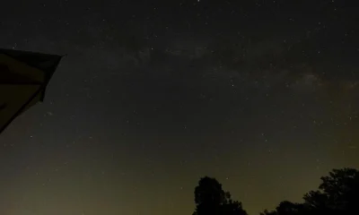 Noche de observación del cielo para entender quando vedere le stelle cadenti