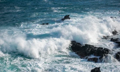 Fotografía de ocean waves crashing para ilustrar perché si formano le onde del mare en la costa.