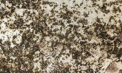 Foto de una mancha de ruggine en tela para ilustrar come togliere la ruggine dai vestiti
