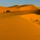 Imagen del Sahara con dunas para ilustrar "dove si trova il deserto del sahara" en un artículo sobre su ubicación y características