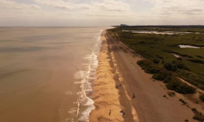 Vista de una sandy beach coastline relacionada con dove si trova marina di ugento, mostrando el litoral ionico del Salento