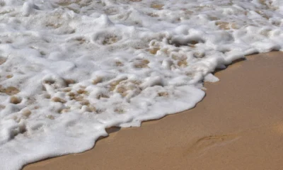 Imagen de una costa con espuma marina relacionada con perché il mare fa schiuma, ideal para ilustrar la presencia de espuma natural en el bagnasciuga.