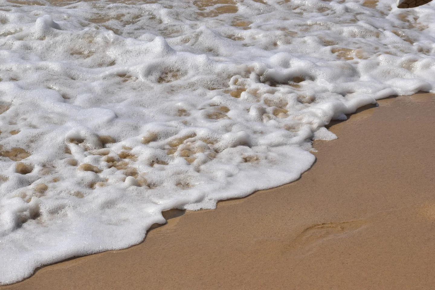 Imagen de una costa con espuma marina relacionada con perché il mare fa schiuma, ideal para ilustrar la presencia de espuma natural en el bagnasciuga.