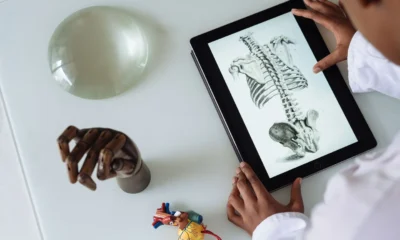 Ilustración de la columna vertebral para explicar dove si trova la vertebra d12 en la zona toracolumbar.