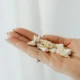 Imagen de wisdom tooth pain para ilustrar el artículo sobre quanti sono i denti del giudizio